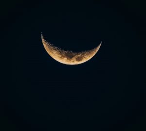 Lee más sobre el artículo Cómo aprovechar la energía de la Luna Menguante