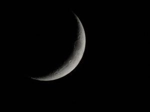Lee más sobre el artículo Nuestras vibras y La  Luna (Cuarto lunar creciente )
