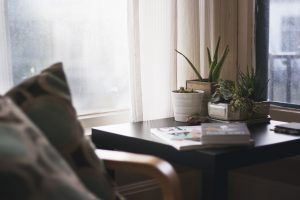 Lee más sobre el artículo Plantas que te ayudan a atraer  y favorecer la  buena energía