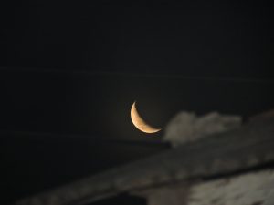 Lee más sobre el artículo Cosas  y cuidados que podemos hacer ( nos)  durante la luna en CUARTO MENGUANTE